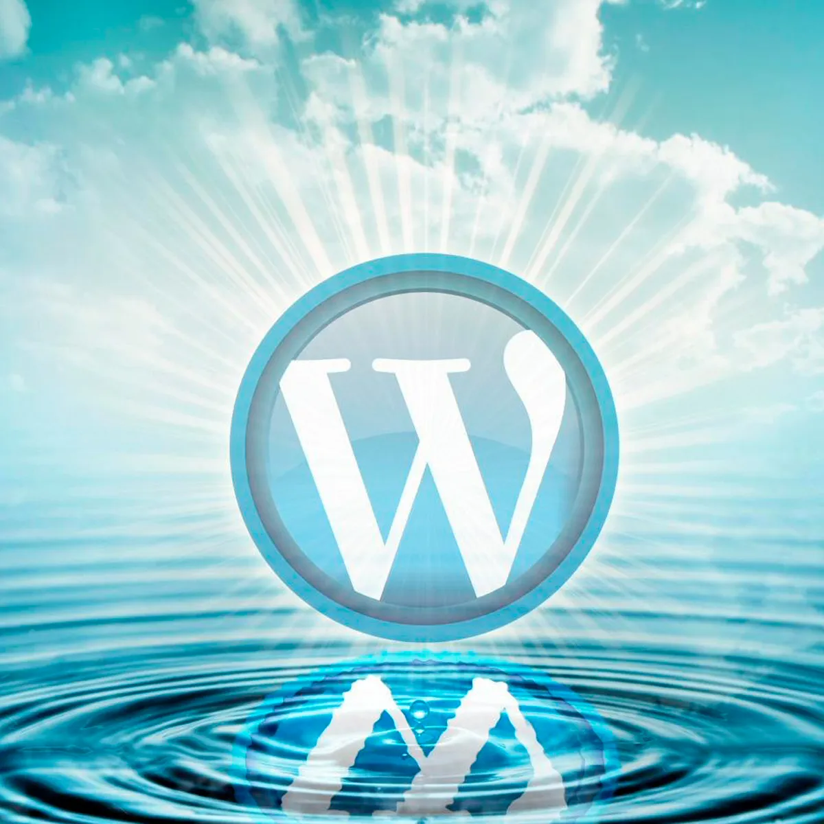WordPress Multisite для управления несколькими сайтами